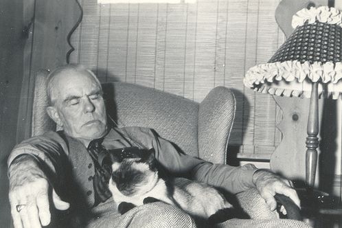 [vintage_cats_11[8].jpg]
