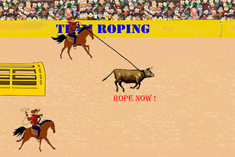  Cowboy Team Roping  