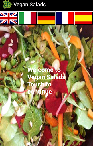 Vegan Salads