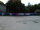 Fresque Olympique Lyonnais