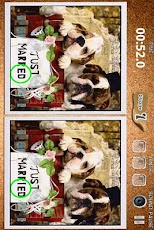 ����� ������� Find Differences