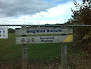 Brighton Domain