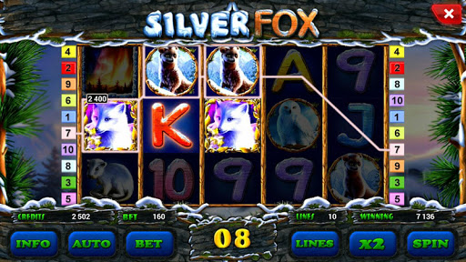 【免費博奕App】Silver Fox slot-APP點子