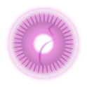 Pregnancy Disc logo