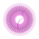 Pregnancy Disc
