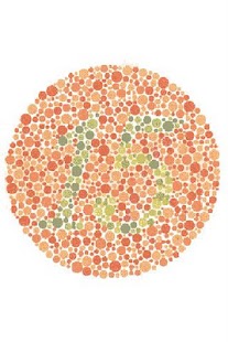 How to install Color Blind Test Varies with device apk for laptop