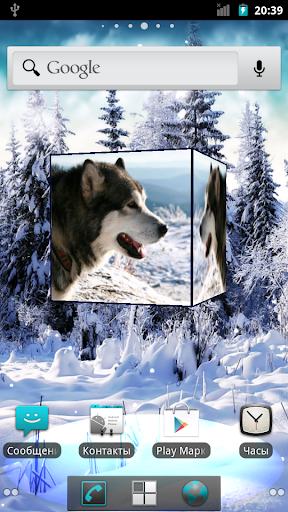 免費下載個人化APP|Husky 3D Live Wallpaper FREE app開箱文|APP開箱王