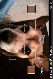 Free Download Color Reader (Donate) APK for Android