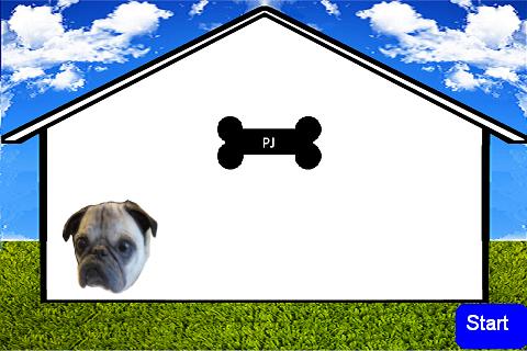 Pound the Pug 2.0