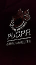 PUCPR  - Maringá - Paraná
