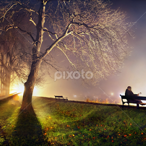 Mystery in the mist by Geir Andersen - City,  Street & Park City Parks