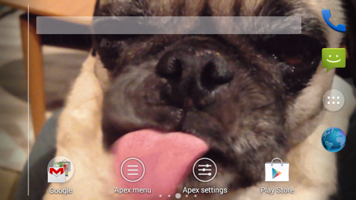 Dog Lick Screen Cleaner