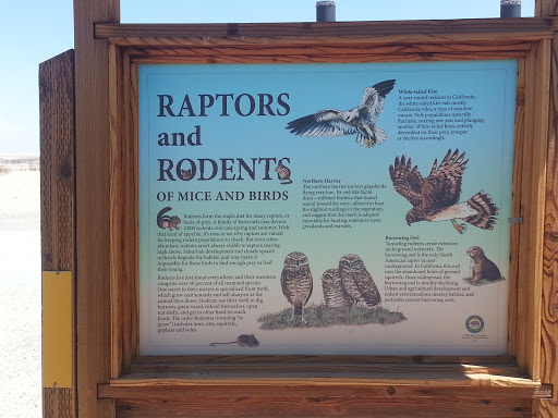 Raptors And Rodents Information Board