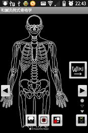 Skeletology (Nagomi) 2D poster 17