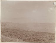 Landschap in Libanon