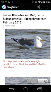 Bird Watching Blogs Free Screenshots 4