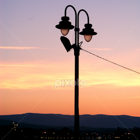 zora by Deki Jiggy - City,  Street & Park Skylines