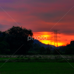 Sunset over the rice fields by Dak Debab Photoholic - Landscapes Sunsets & Sunrises