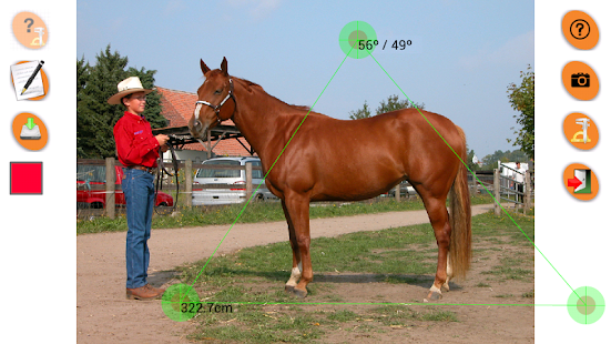 Horse Conformation Screenshots 4