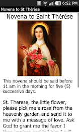 Saint Thérèse of Lisieux poster 4