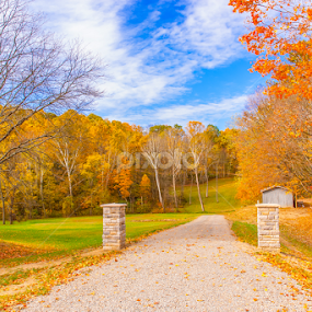 by Sreejith  SD - Landscapes Travel