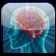 Brain age Test icon