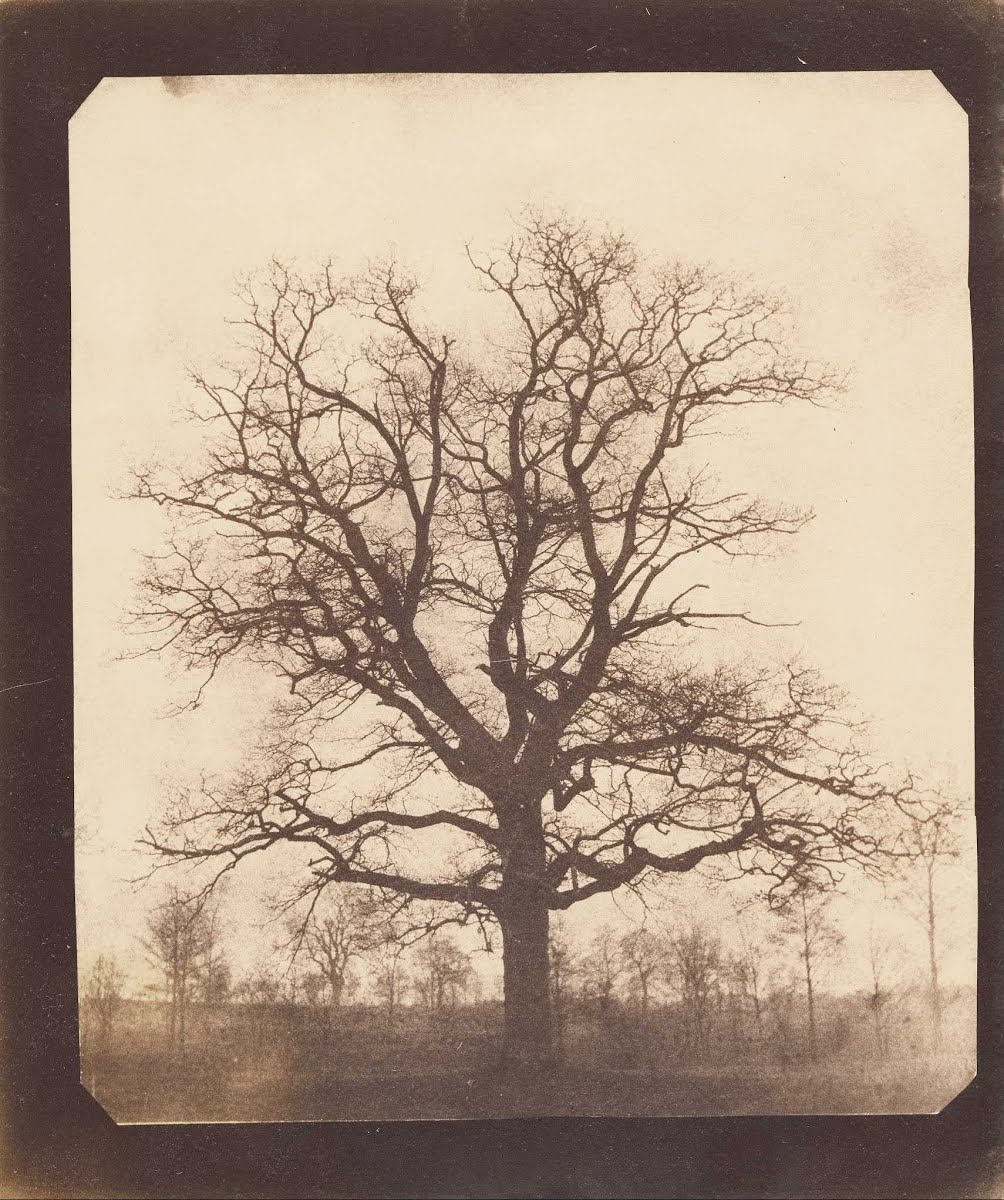 ウィリアム ヘンリー フォックス タルボット Henry Fox Talbot Japaneseclass Jp