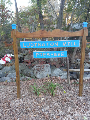 Ludington Mill Preserve