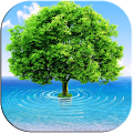 3D Tree Apk