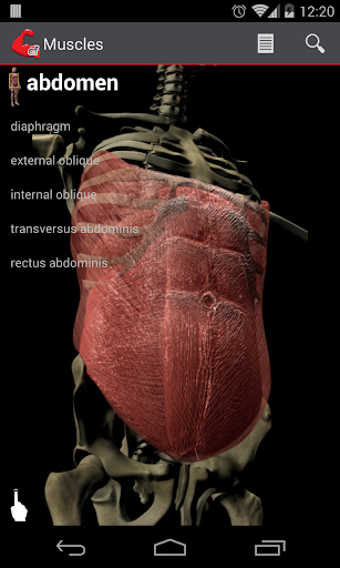 免費下載健康APP|CompleteFit Muscles Reference app開箱文|APP開箱王