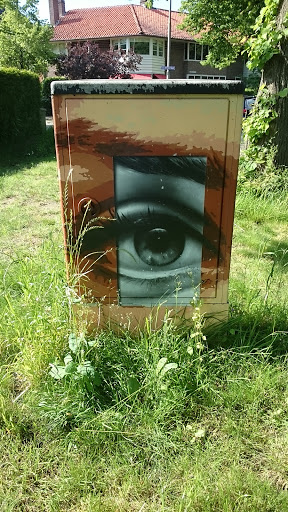 Stroomkast Graffiti The Eye