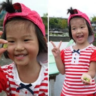 香草菲菲 芳香植物博物館