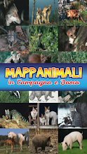 Animali di Campagna APK Download for Android