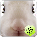 Rabbit LiveWallpaper logo