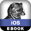 Graphics and Animation on iOS