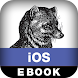 Graphics and Animation on iOS
