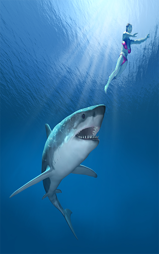 游戏2015年鲨鱼
