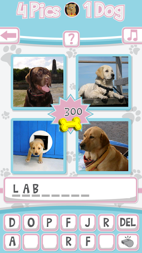 4 Pics 1 Dog What's the Dog