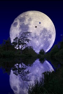 How to mod Forest Pond Free patch 1.15 apk for laptop