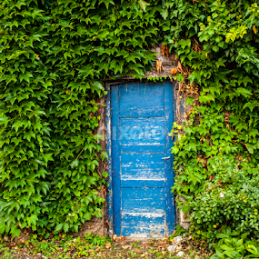 Behind green wall and blue door by Goran Lee - City,  Street & Park Street Scenes