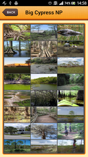 【免費旅遊App】Big Cypress National Preserve-APP點子