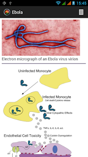 How to get Ebola 1.0 apk for laptop