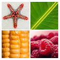 4 Pics 1 Word icon