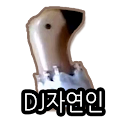 DJ자연인 logo