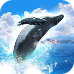 REAL WHALES Find the cetacean. Apk