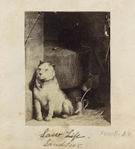Fotoreproductie van een schilderij van Edwin Henry Landseer