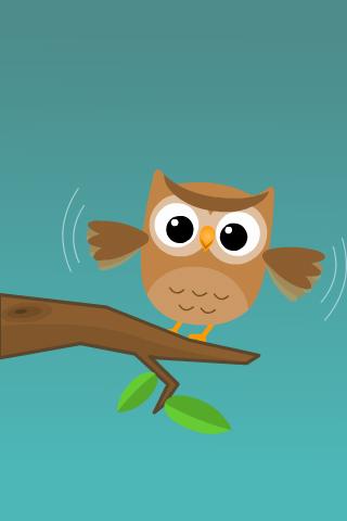 Owl Challenge