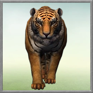 Tiger HD Live Wallpaper 1.00