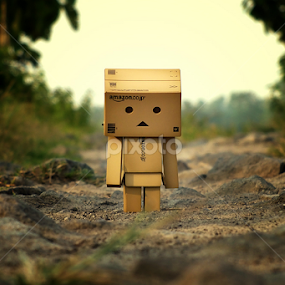 Danbo Walking Alone by Munif Rifa'i - Artistic Objects Toys