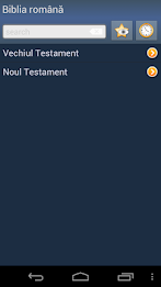 Romanian Holy Bible poster 1